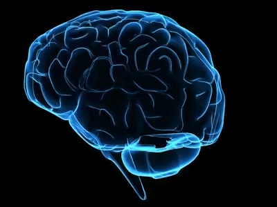 Human brain, perception intelligence map